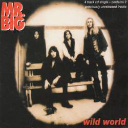 Mr. Big : Wild World